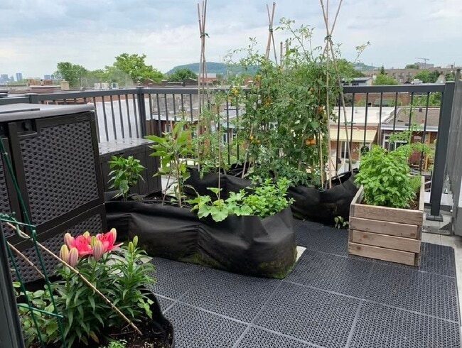 Balcon arrière, jardin - 5814 Rue De Bordeaux Unité 5814 de bordeaux #301