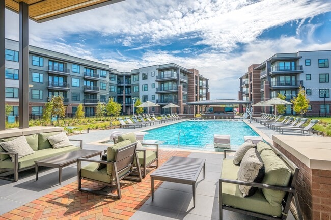 Photo - Starling At Bridgeland