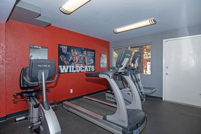 Photo - The U at Park - Near The U of A