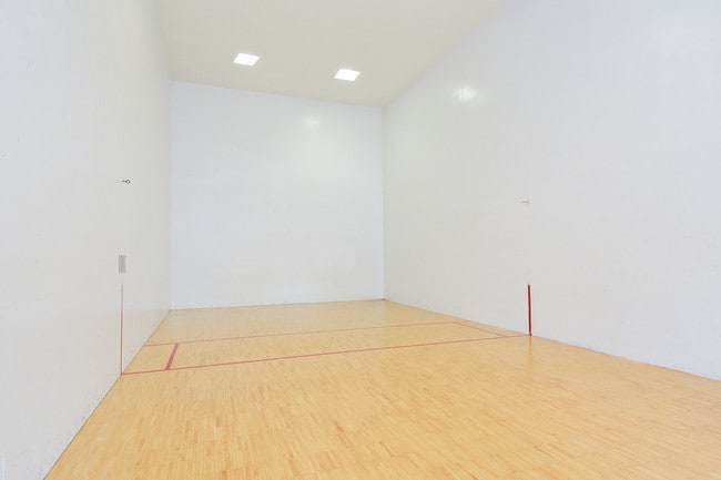Cancha de ráquetbol de interior - Roxalana Hills Apartments