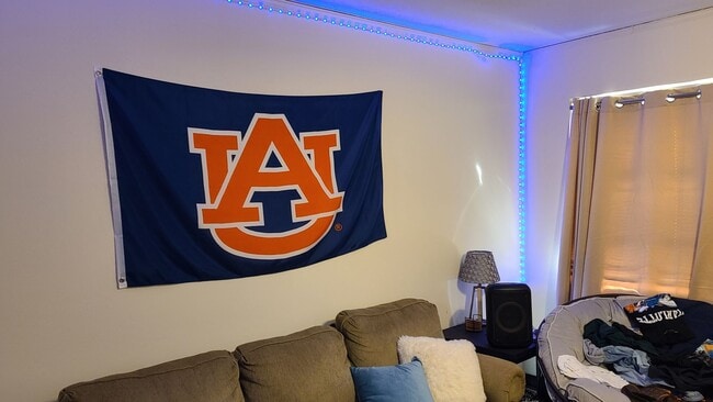 Photo - Burton Triplex Unit 160