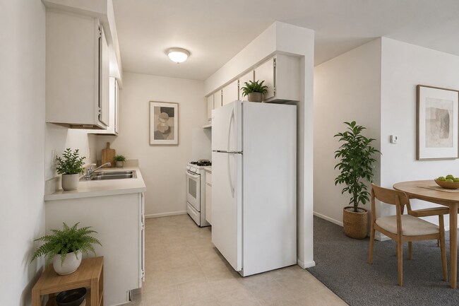 Mayfair Apartments
