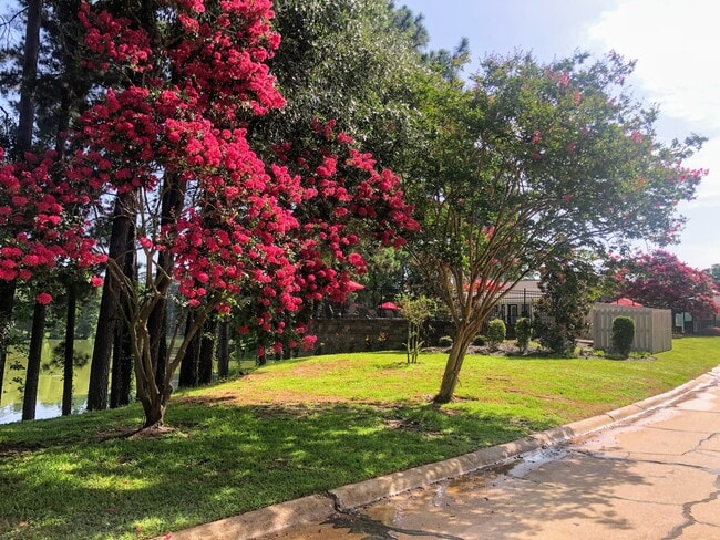 Gorgeous Grounds