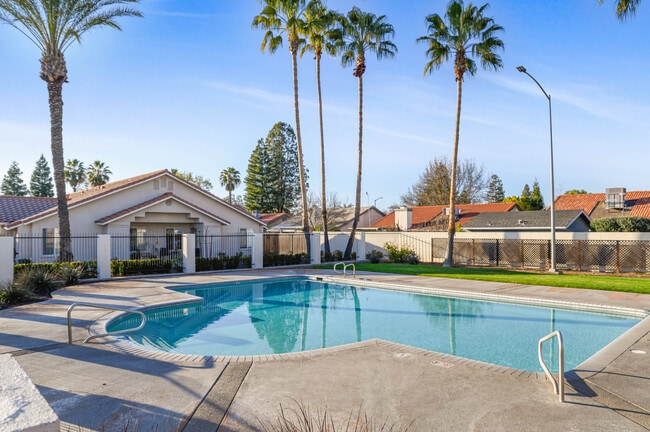 Large sparkling swimming pool - Town and Country