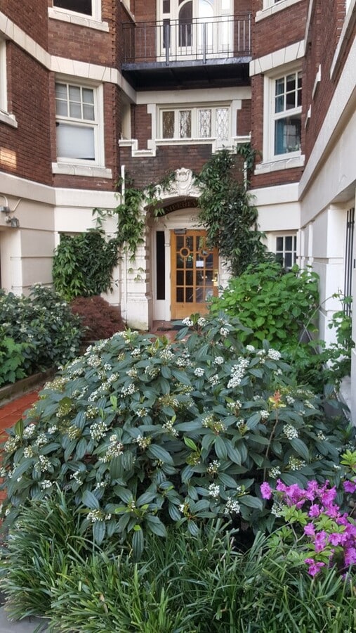 Photo - Imperial Arms Apartments