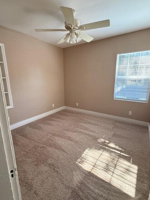 Photo - 134 Clyde St