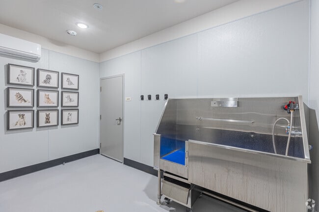 Pet Wash Station and Dryer