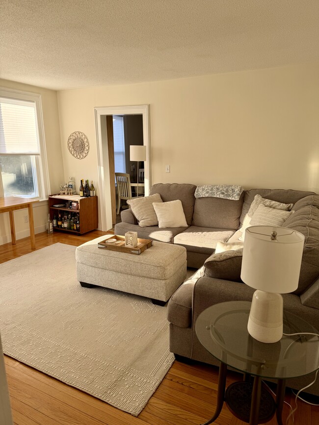 Living Room, Hardwood Floors - 74 Hopson Ave Unit 1