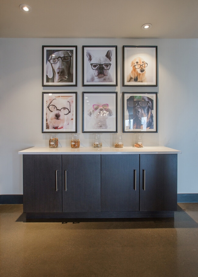 Tail-Wagging Perks Included - LoHi Gold