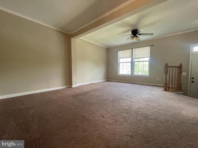 Photo - 8625 Walcott Ct