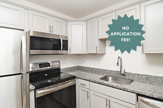 Building Photo - Student & Pet-Friendly Duplex With Ting In... Rental