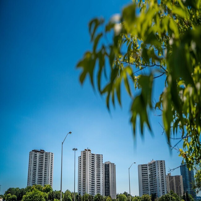 Photo - Graydon Hall