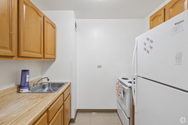 1BR, 1BA - 500SF - Kitchen