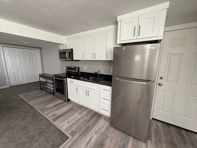 1342 Hillsboro Dr Unidad Basement