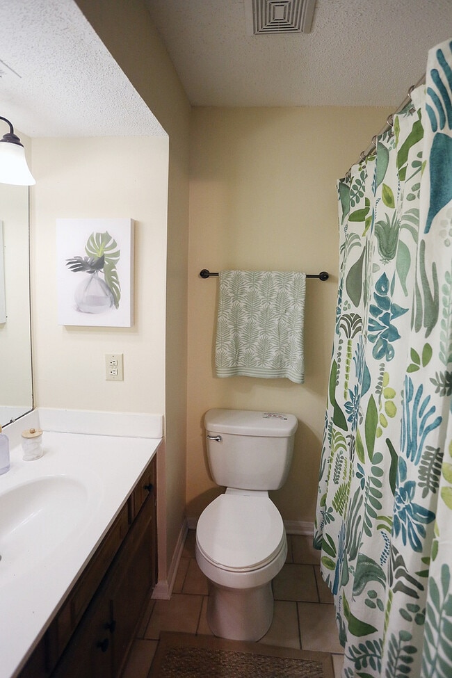 Private-Bathroom-The-Vine-at-Bermuda-Run-Apartments-Near-GSU
