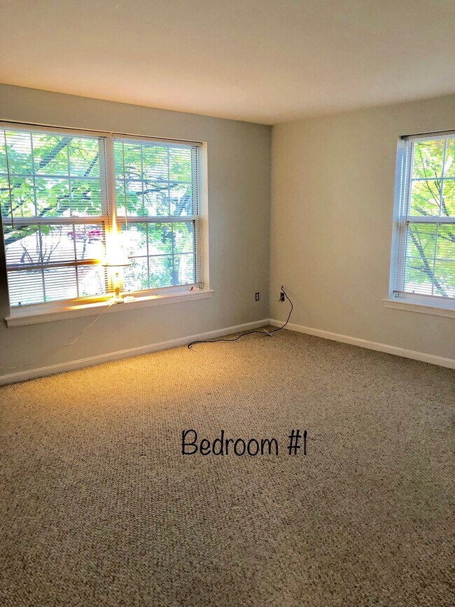 Photo - 51 Mitton St