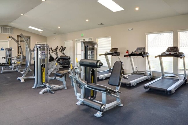 Photo - Olive Tree Apartments