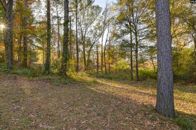 Photo - 100 Woodspur Rd