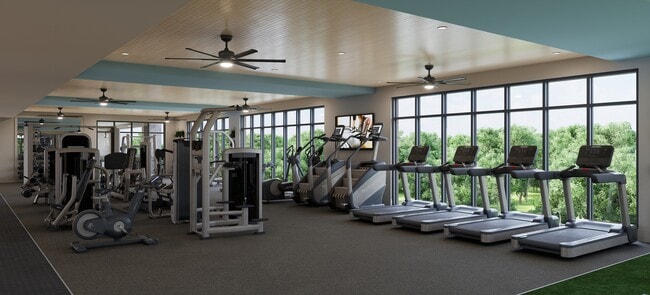 Photo - Ellison Nona