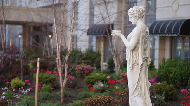 Photo - The Alexander