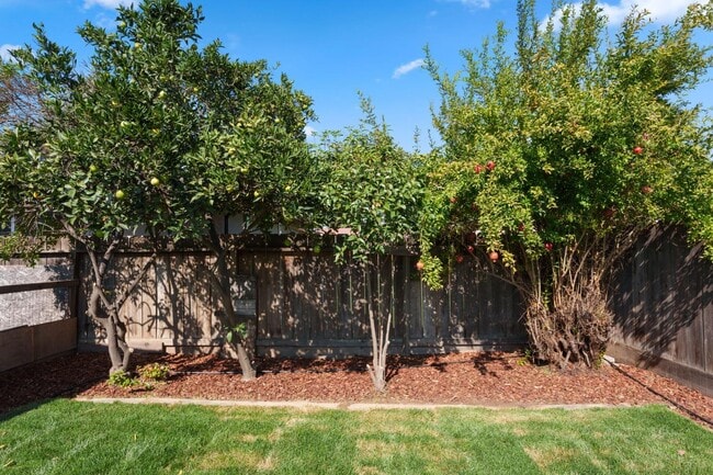 Photo - 6804 N Backer Ave