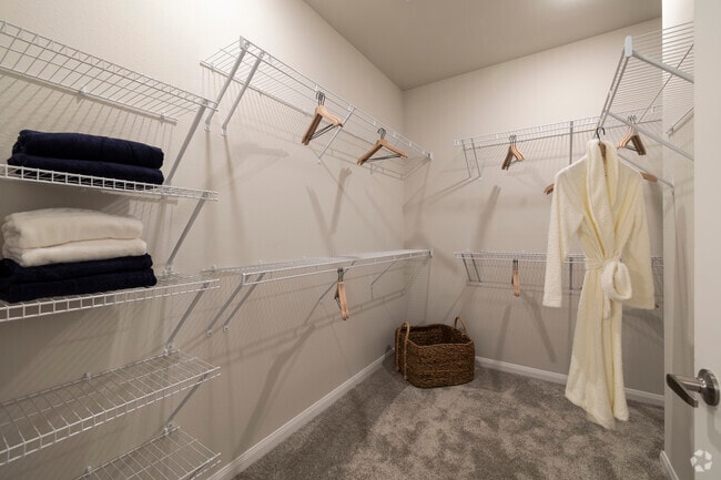 2BR/2BA, 1,069SF - Main closet - Ariza Westview