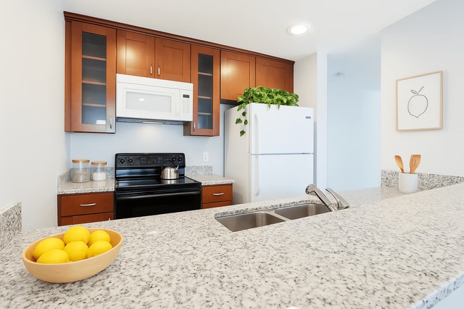 Photo - Elevate Properties