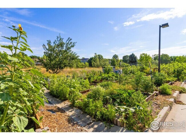 Photo - 5620 Fossil Creek Pkwy Unidad 11207