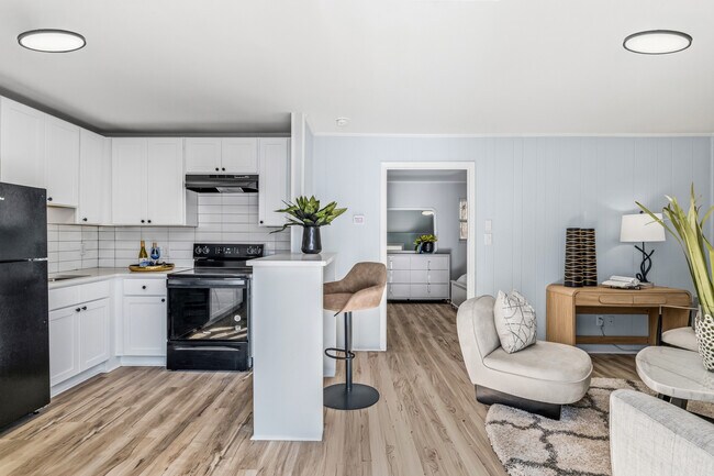 Newly Remodeled 1 Bedroom Apartment