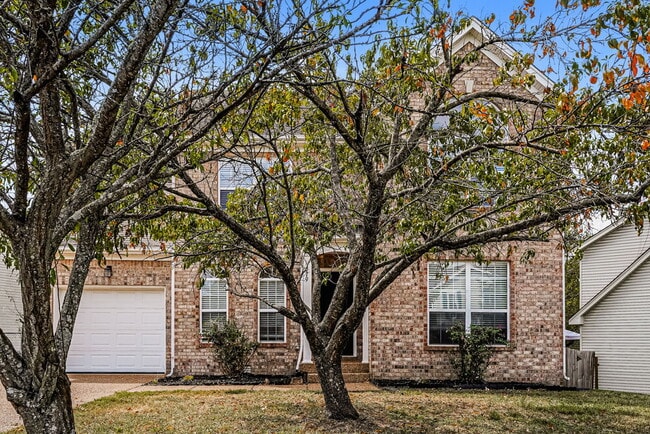 Building Photo - 379 Dorr Dr Rental