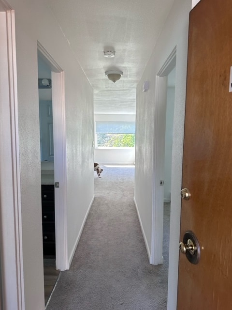 Vista del apartamento desde la entrada. Perro no incluido. - 3627 14th Ave W