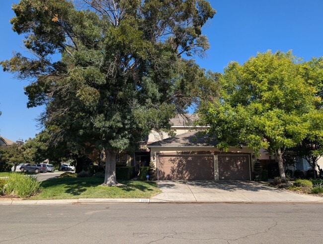 Building Photo - Nice and modern home with upgraded ameniti...