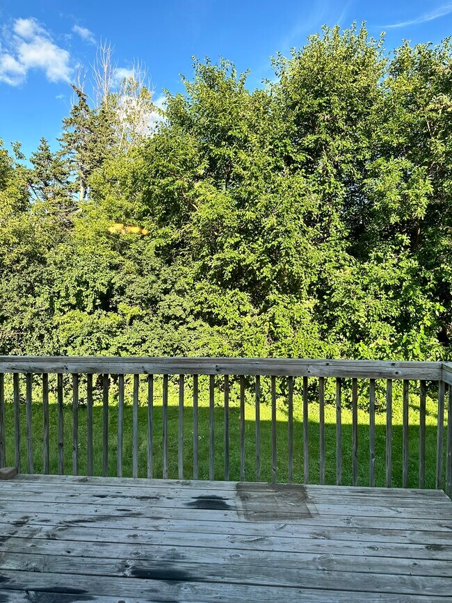 Great back yard - 8020 Zane Ave N