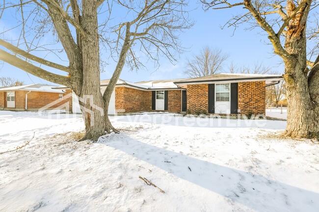 Photo - Coming Soon!