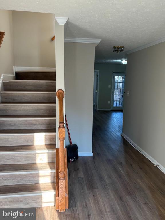 Photo - 8002 Bullfinch Pl