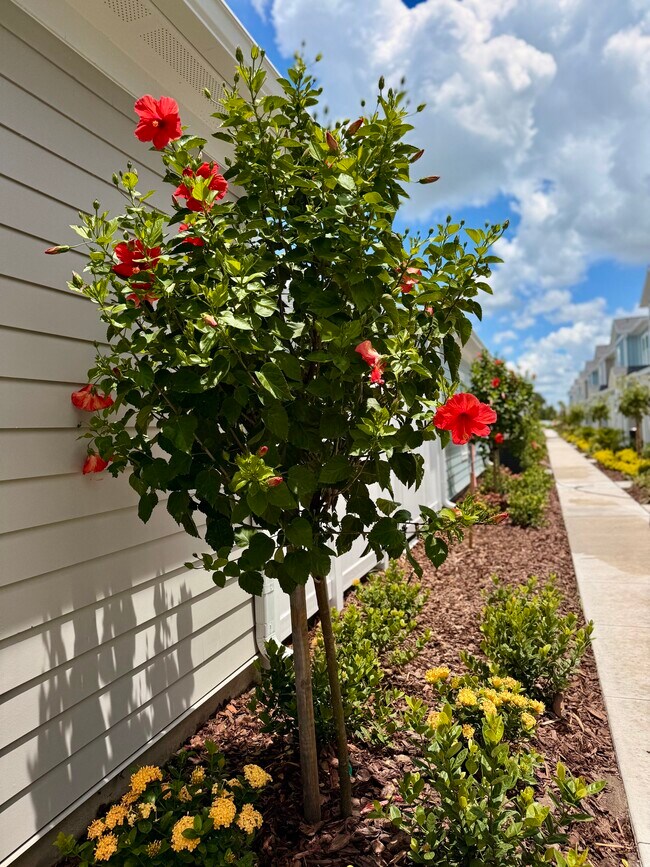 Photo - Villas at Venice