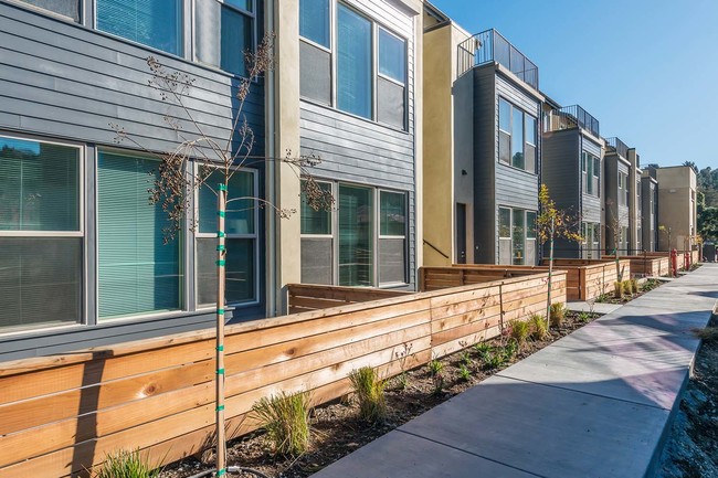The Point - The Point Apartments