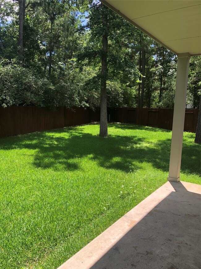 Photo - 11 Aquiline Oaks Pl