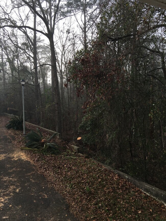 Photo - 2/2/ Walking Distance To Capital Regional ... House