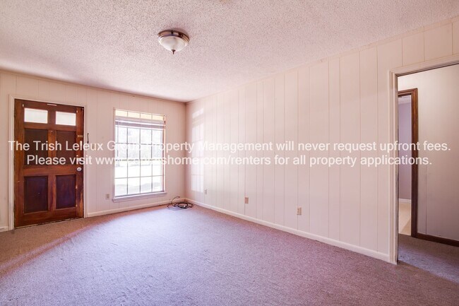 Photo - Large 2/1 in Ball