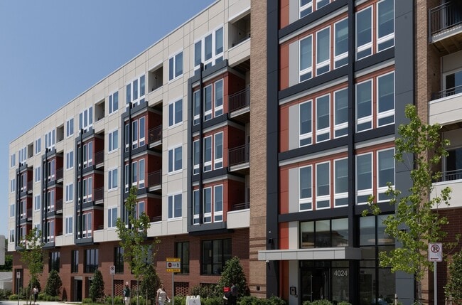 Photo - Allium Place