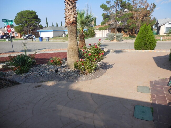 Photo - 11448 Lake Alice Dr