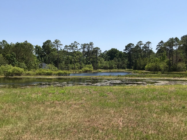 Photo - 4458 Maritime Oak Dr