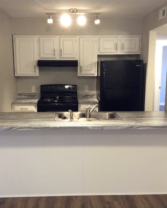Building Photo - Chestnut Hill Rental