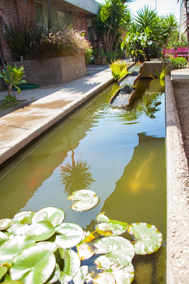 Photo - Lacy Studios & Townhouse Lofts