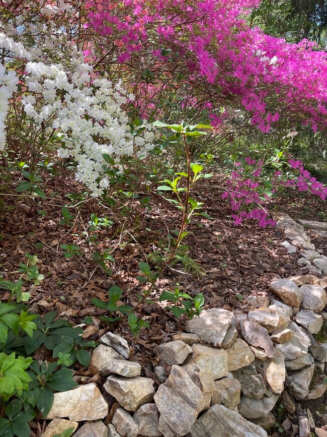 Photo - 6662 Van Winkle Dr Unit Studio