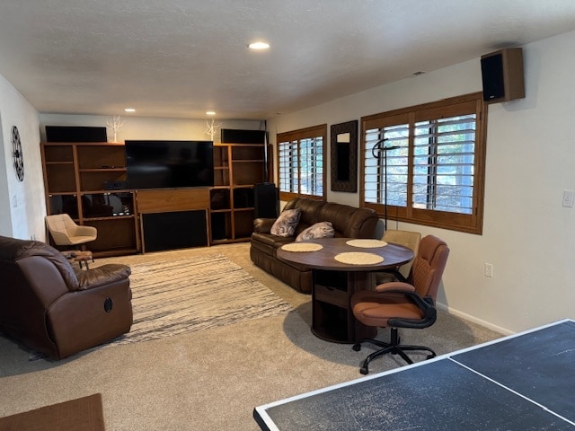 Photo - 6200 Snowview Dr Unit mother-in -law apartment