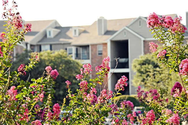 Beautiful Landscaping