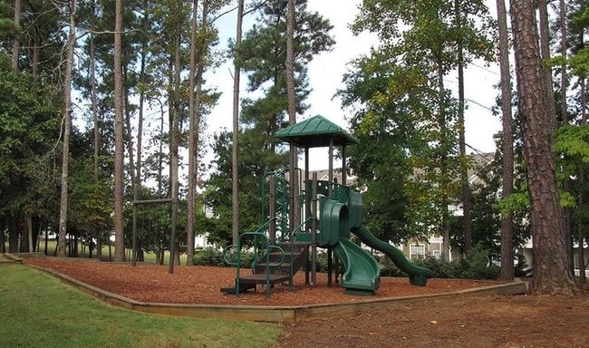 Juegos infantiles - The Heights At Towne Lake