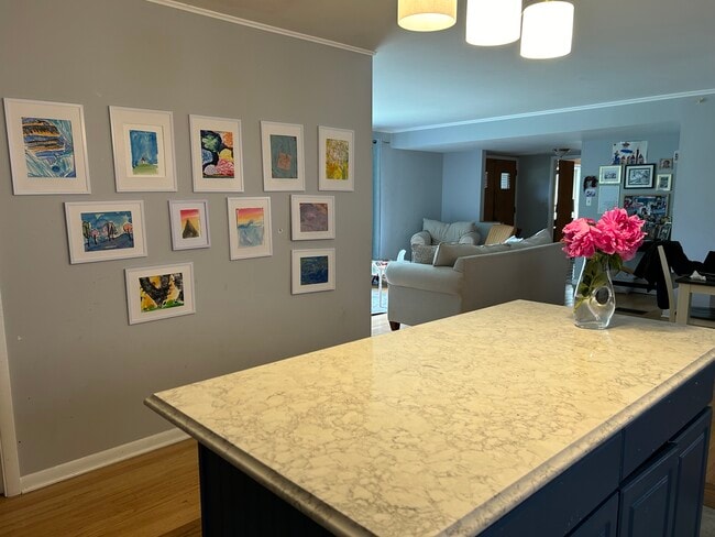 Kitchen island - 1620 S Washington Ave Rental
